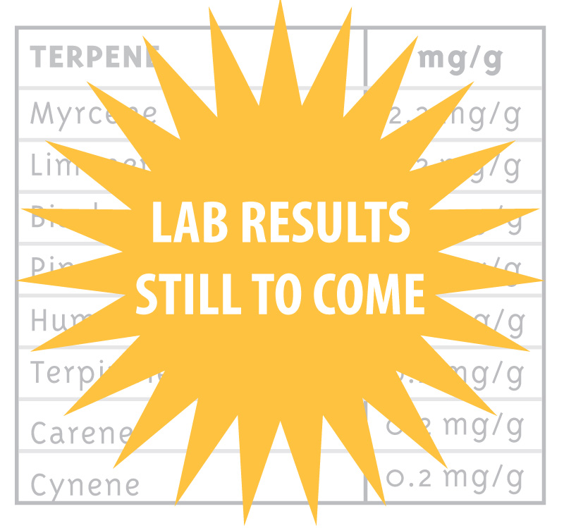 lab results still to come yellow star icon
