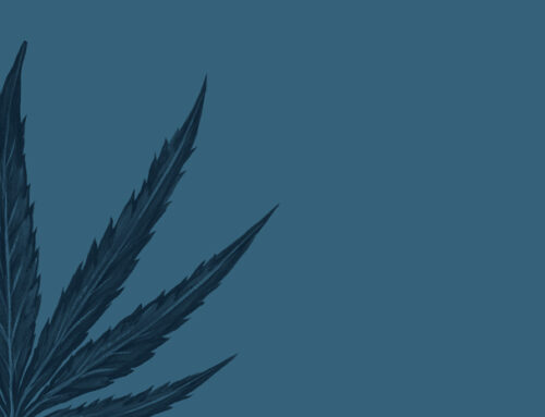 9 Best Blue Cannabis Strains