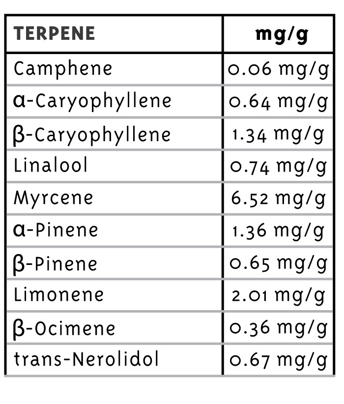 Caramel Cream Terpene Profile