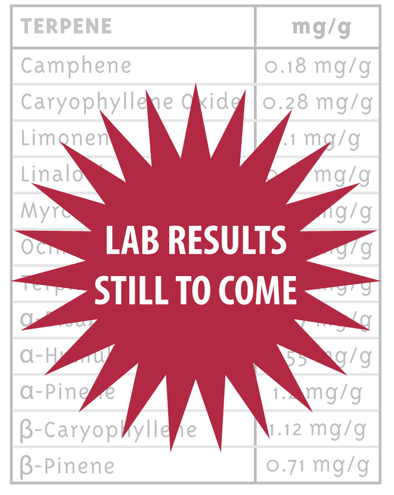 lab results still to come red star icon