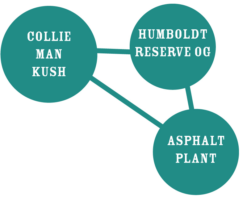 Slightly Stoopid Collie Man Kush Graph humboldt reserve og asphalt plant cannabis strains