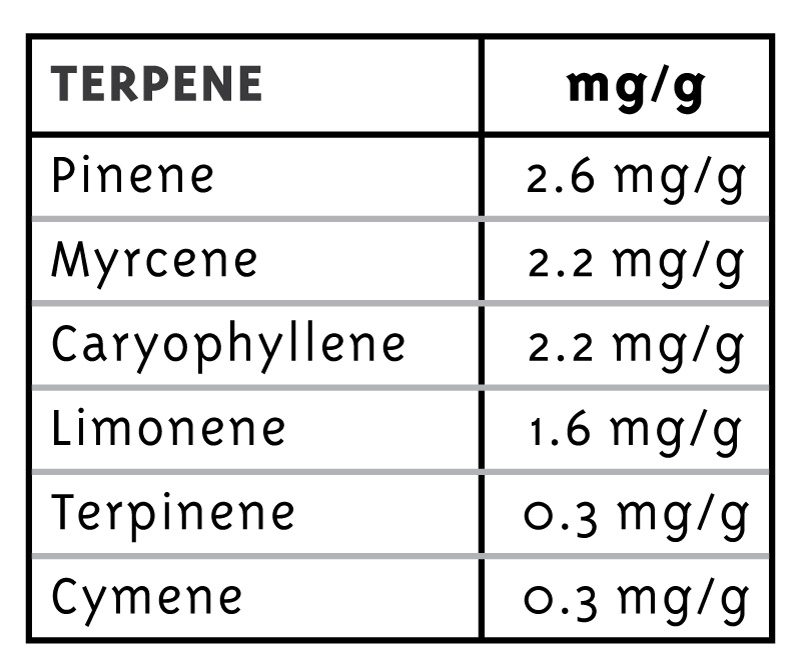 Don Carlos Strain Terpenes