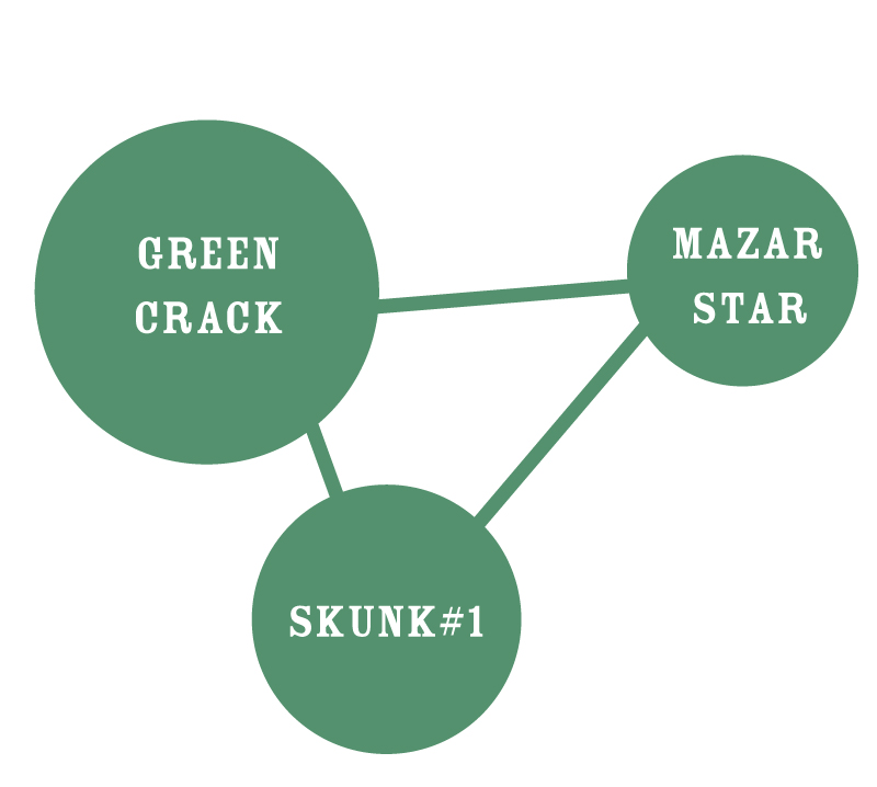 Dream Queen cannabis strain chart