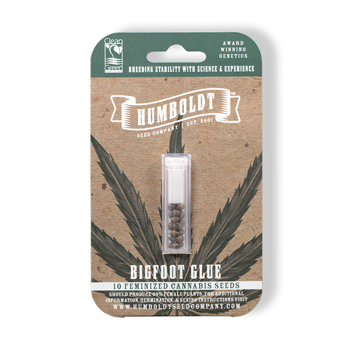 Bigfoot Glue cannabis seed pack