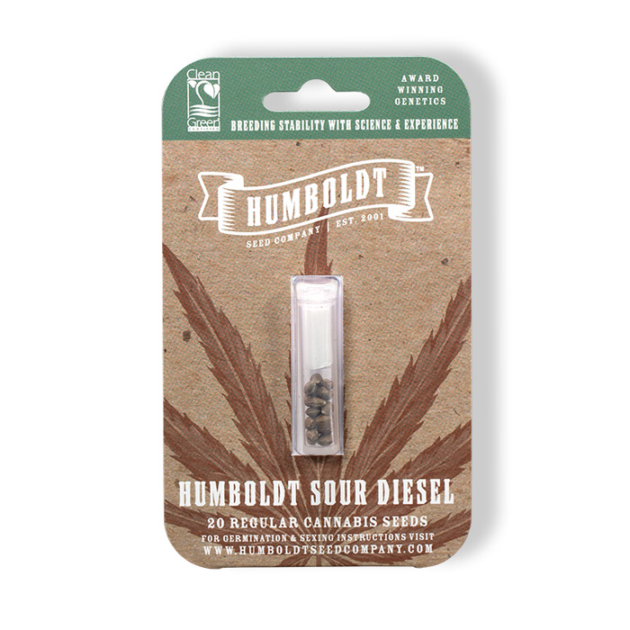 Humboldt Sour Diesel - The best seeds humboldt county