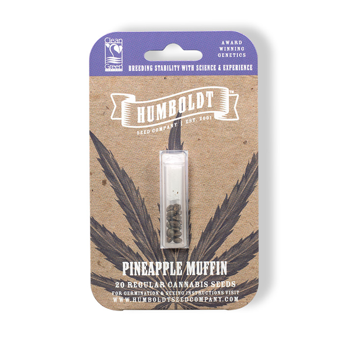 Pineapple Muffin - the best seeds in humboldt