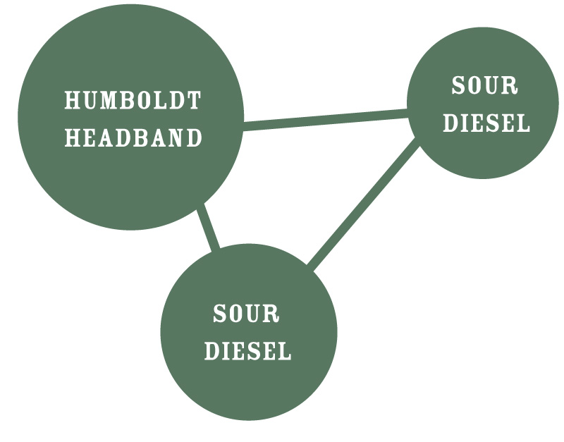 Humboldt Sour Diesel Circle Strain Identifier cannabis