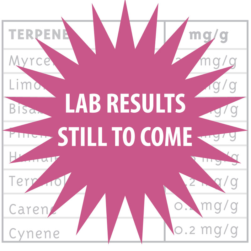 lab results still to come pink star icon