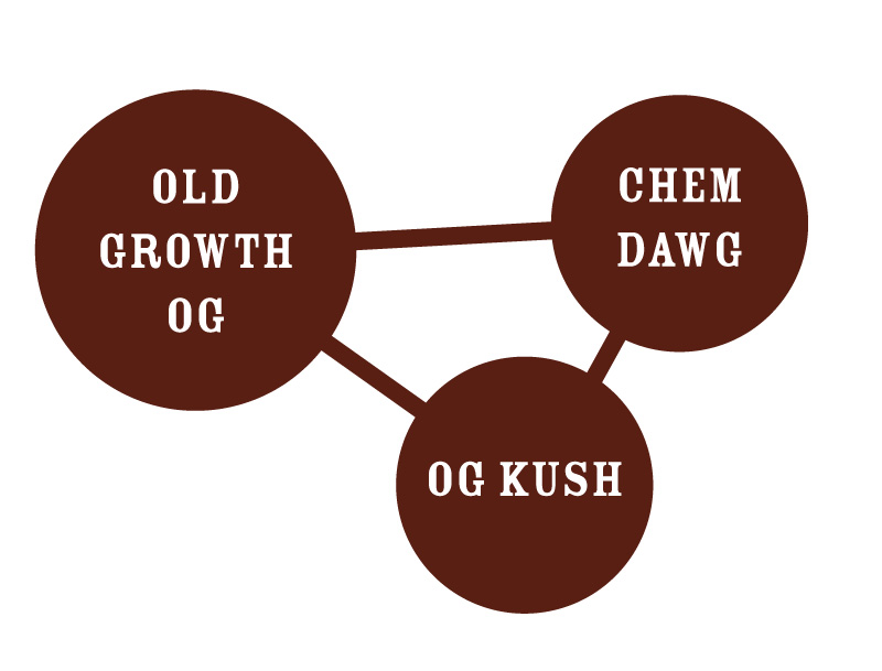 Old Growth OG Strain Chart chem dawg and og kush cannabis strains