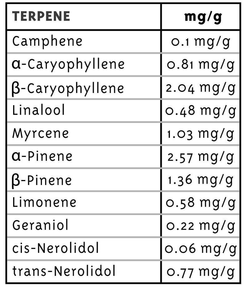 Old-Growth-Terpene