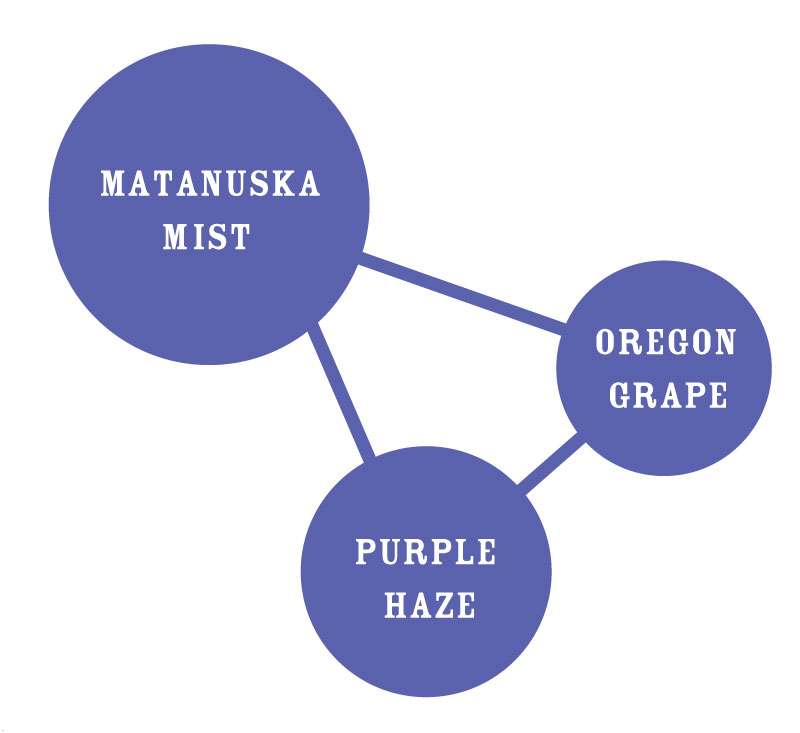 PPD Seed Strain Graph cannabis