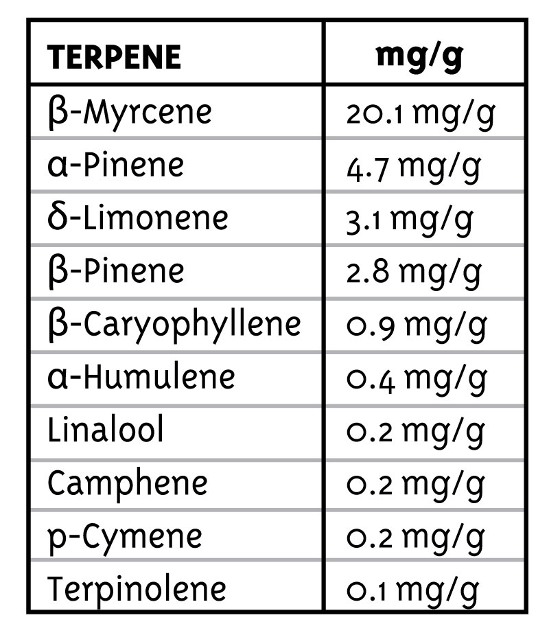 PPD TERPENE profile