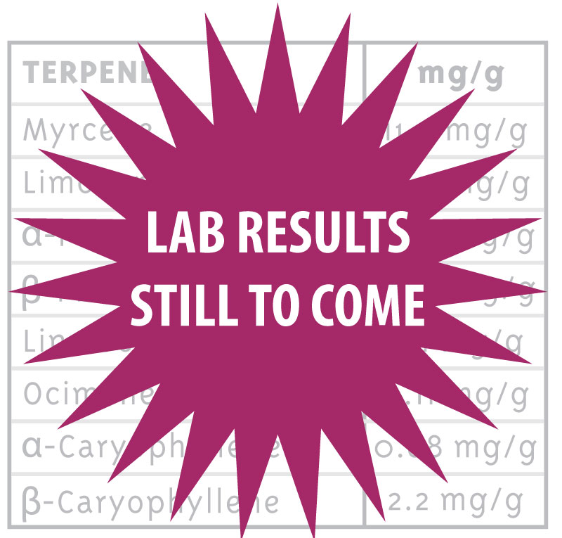 lab results still to come red star icon