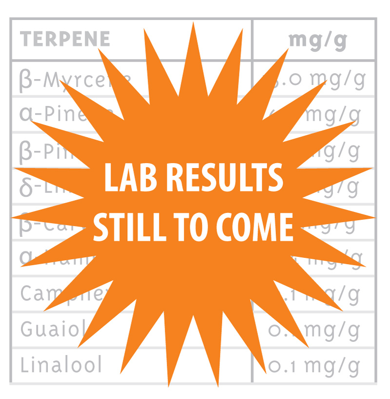 lab results still to come orange star icon