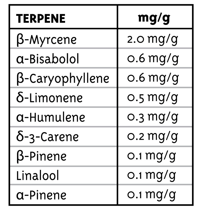 BLUEBERRY MUFFIN TERPENES