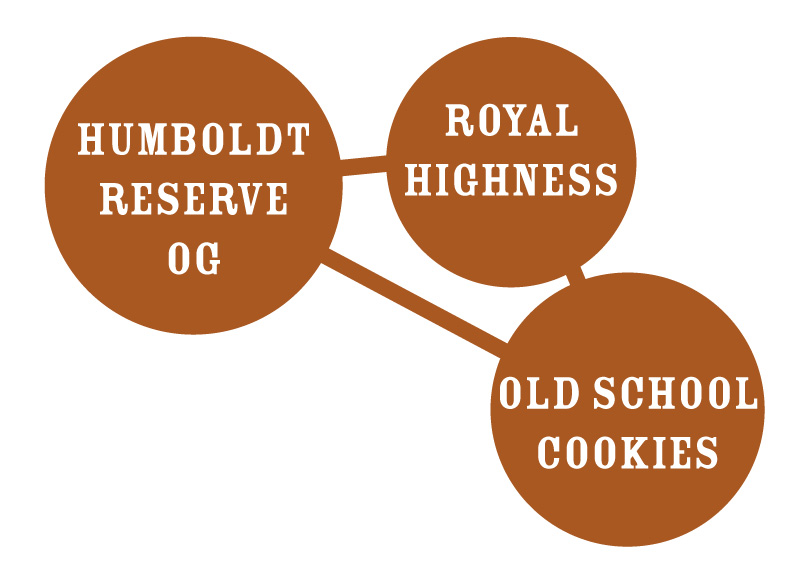 Caramel Cream Strain Graph royal highness humboldt reserve og old school cookies cannabis strains