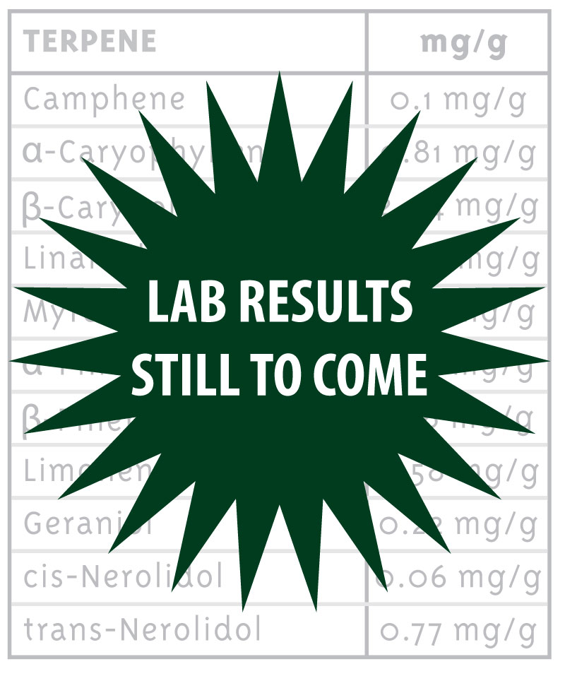 lab results still to come black star icon