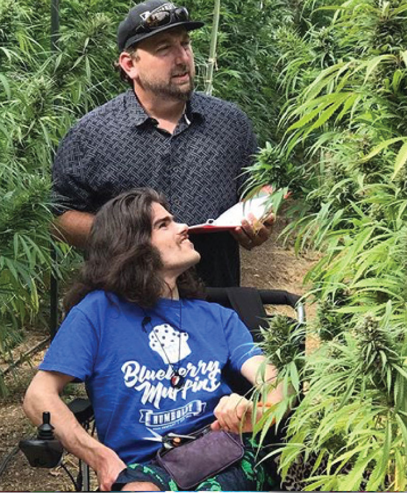 two men looking at cannabis plants