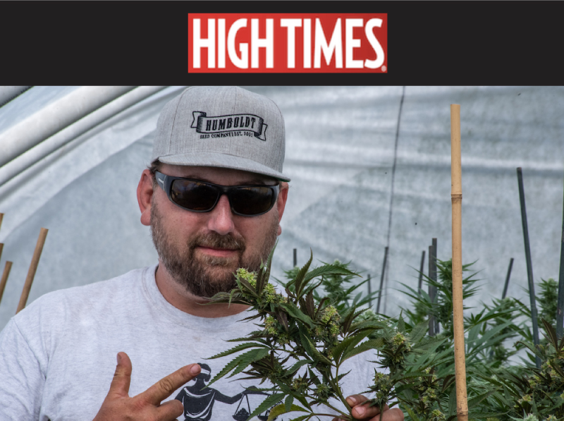 nate pennington with cannabis plant