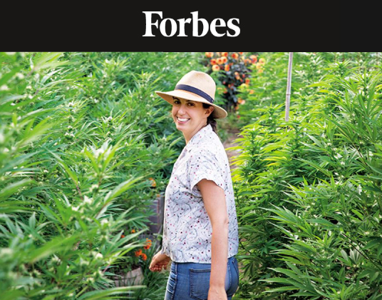 woman walking through field of cannabis plants
