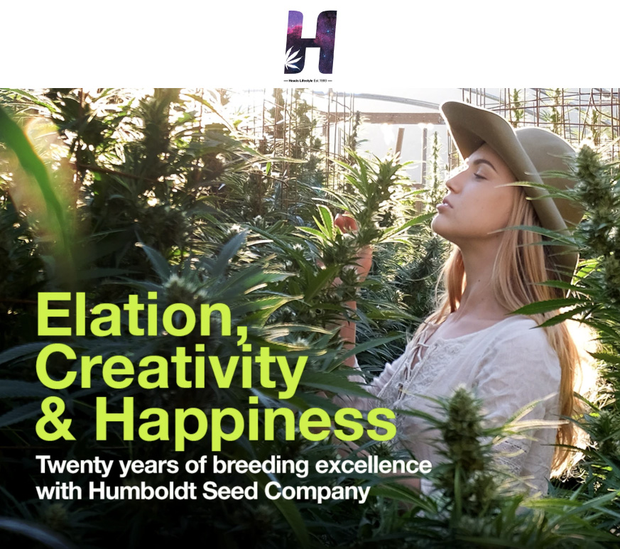 Elation, Creativity, and Happiness Heads Lifestyle Article