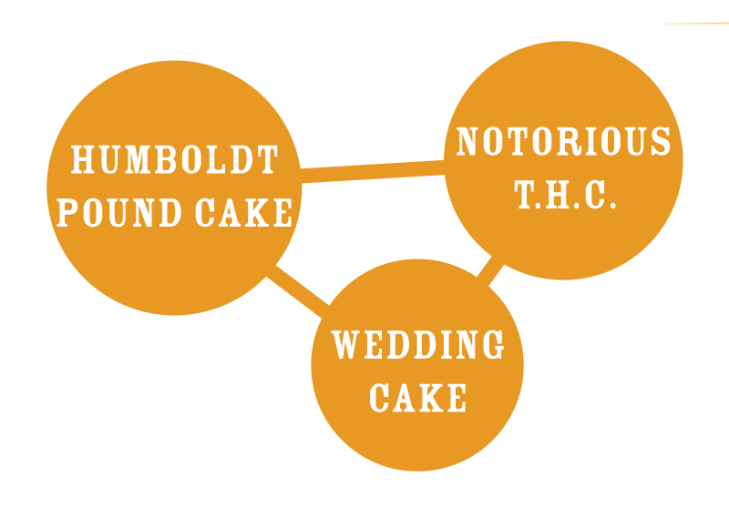 Humboldt Pound Cake - Humboldt Seed Company