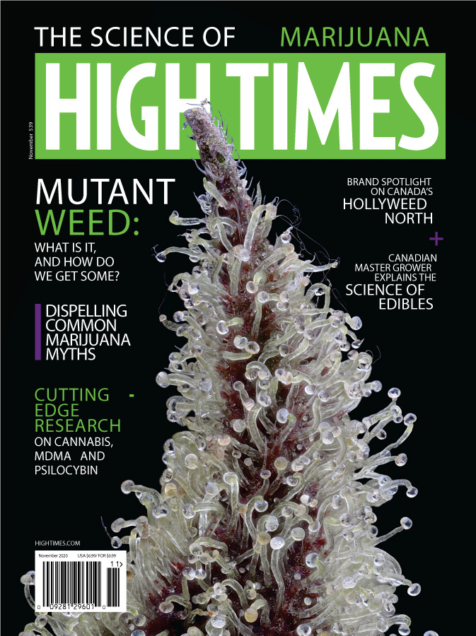 November High Times Magazine