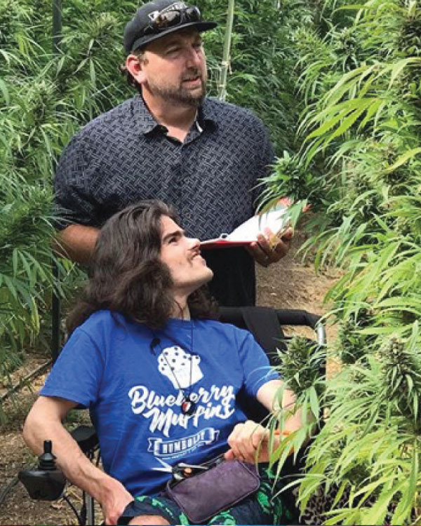 two men looking at cannabis plants