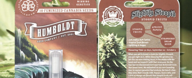 Heads 2020 Geschenkführer Slightly Stoopid Samenpackungen