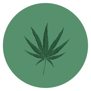 cannabis leaf in green circle