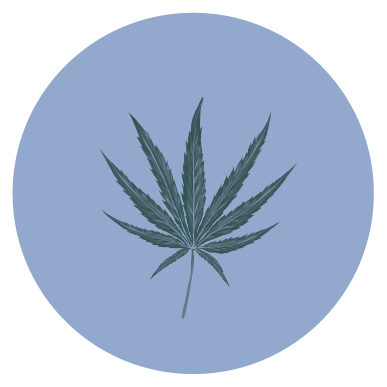 cannabis leaf in blue circle