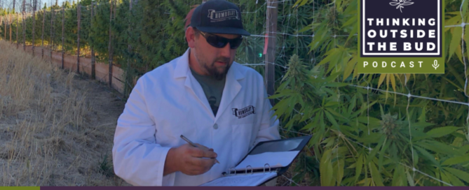 Nat Pennington beim Betrachten von Cannabispflanzen