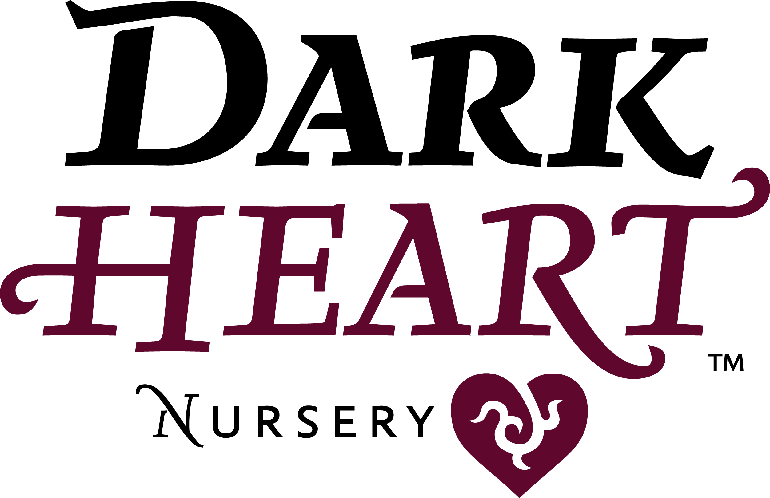 dark heart nursery logo