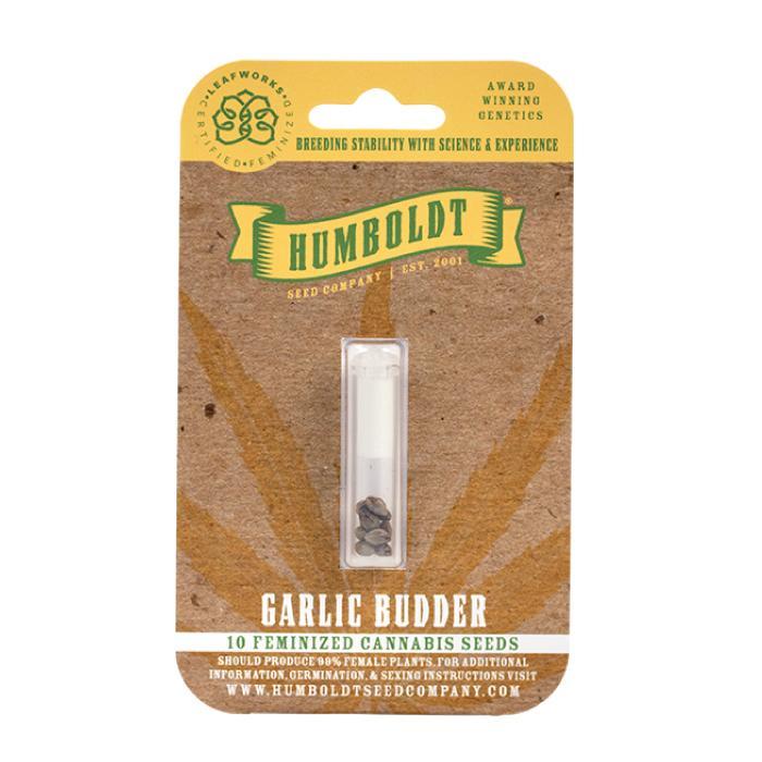 GARLIC BUDDER cannabis seeds pack
