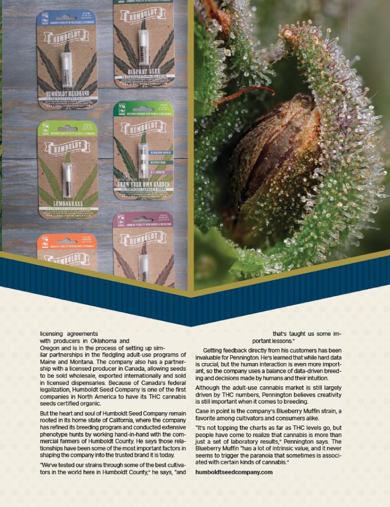 Humboldt Seed Company Feature in Marijuana Venture Magazine