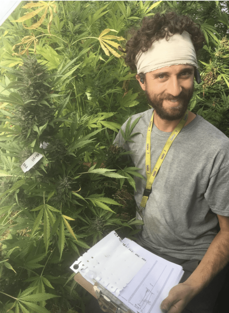 man poseert met cannabisplant