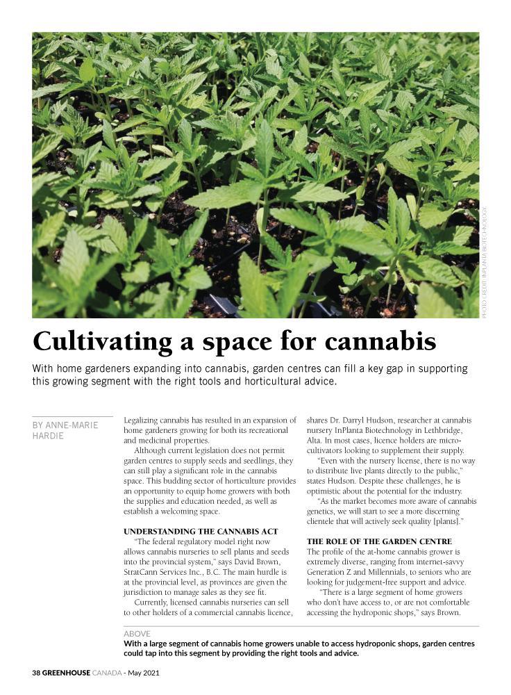Cultivating a space for cannabis