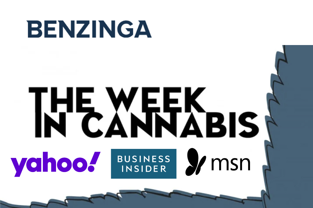 Esta semana en el cannabis Benzinga Yahoo Business Insider MSN