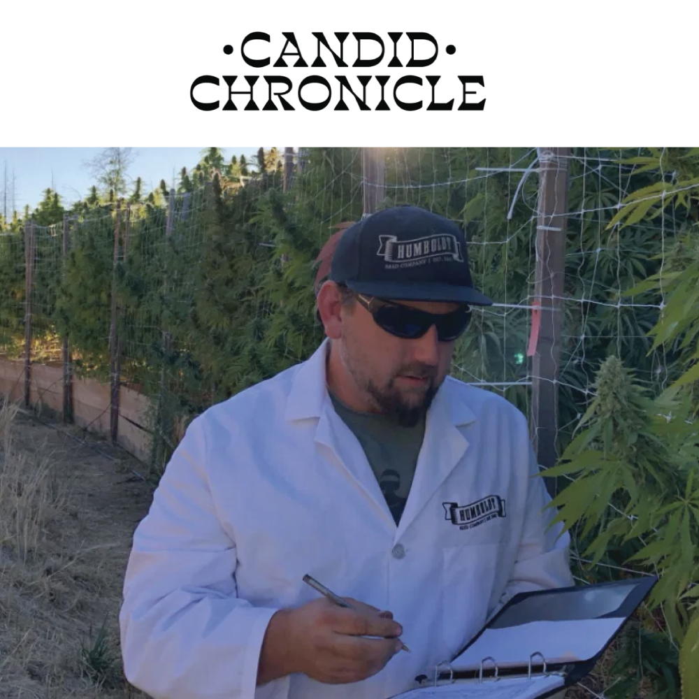 Nat Pennington in cannabis plant farm