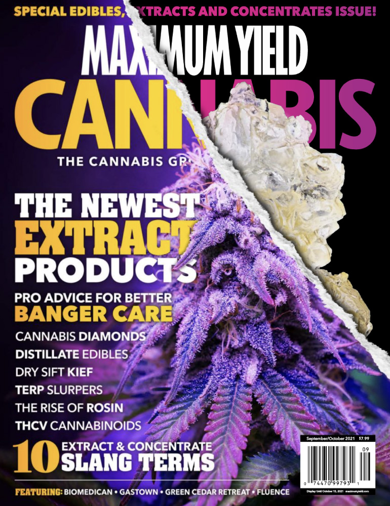 Maximum Yield Cannabis Feature Cover Page