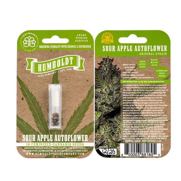 Sour Apple Autoflower cannabis seeds in pack