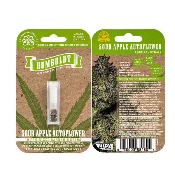 Sour Apple Autoflower cannabis seeds in pack