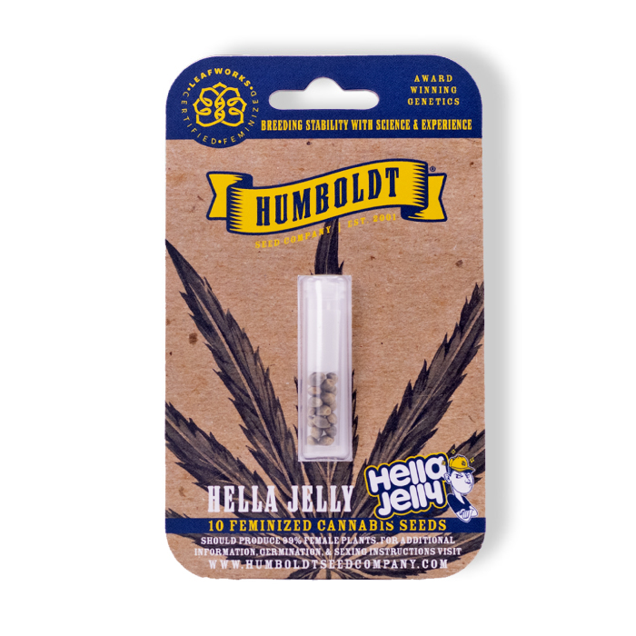 Helly Jelly Strain in seed package