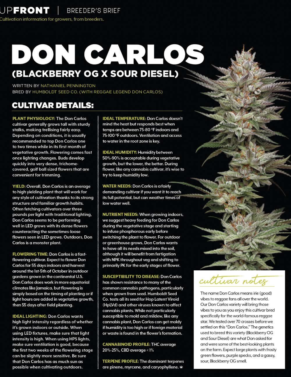 Cannabis Business Times - Don Carlos