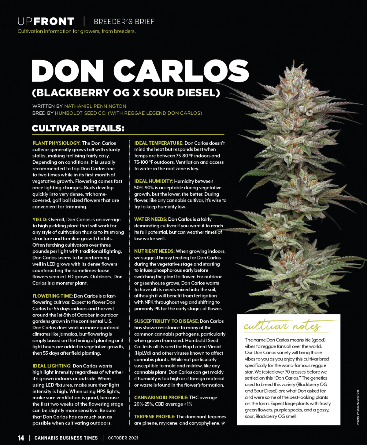 Cannabis Business Times - Don Carlos