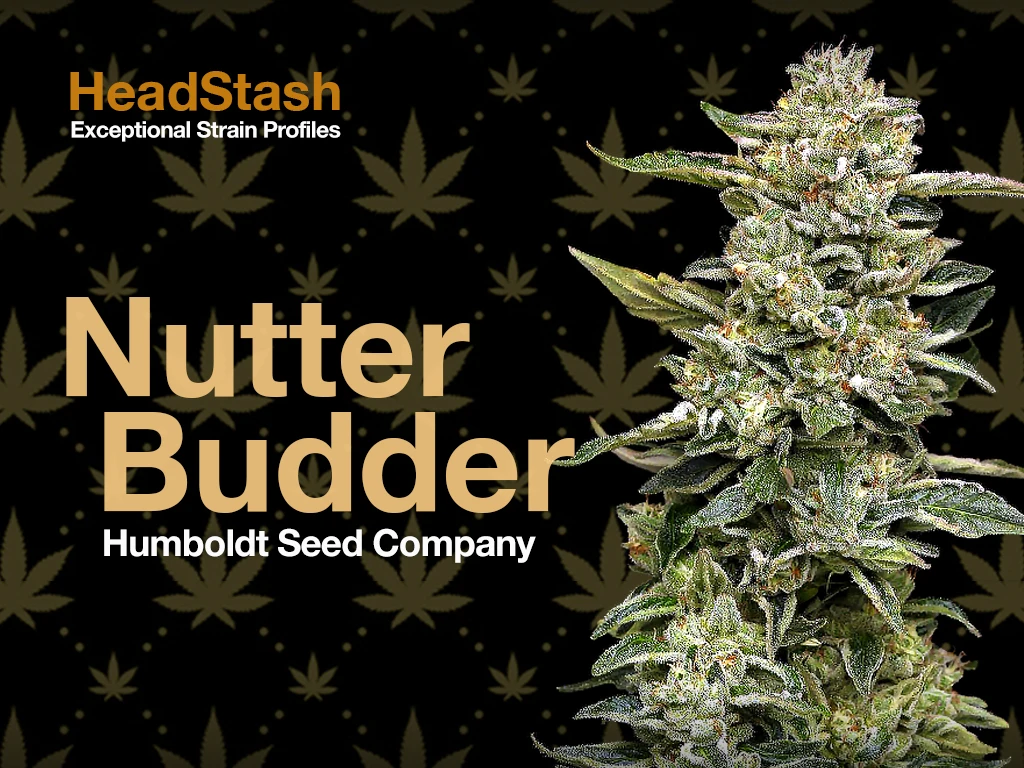 Headstash คุณสมบัติ Nutter Budder ดอกกัญชา