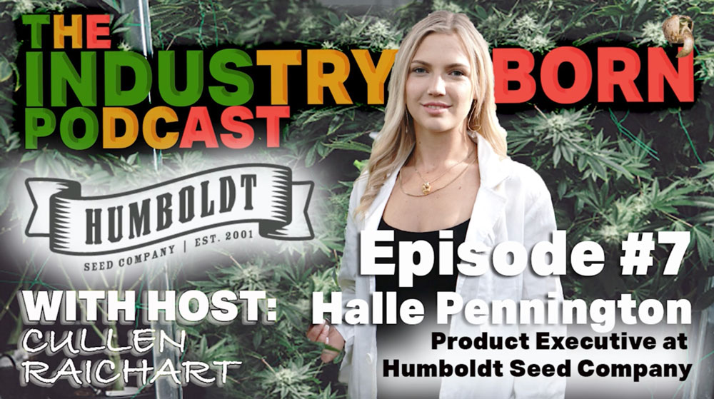Industry Born Podcast Halle