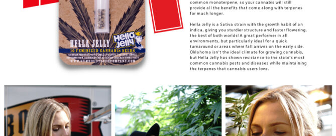 Chronic Magazine 2021 Weihnachtsgeschenkführer