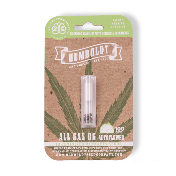 All Gas Autoflower cannabis seed pack