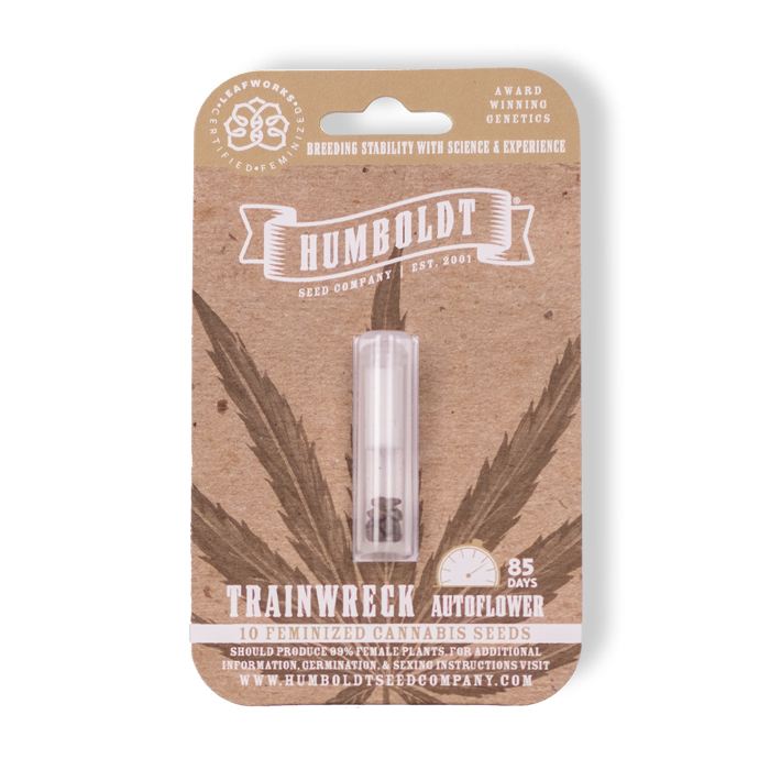 Trainwreck Autoflower cannabis Seeds in pack